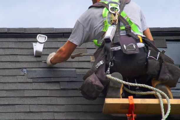 Best Roof Repair Services  in De Pue, IL